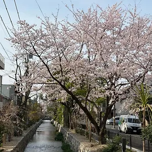 初音 Alloggio in famiglia Kyōto